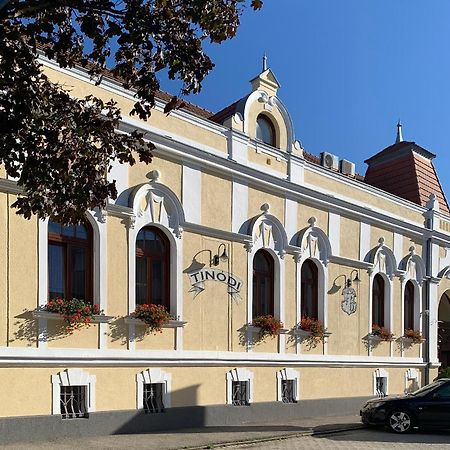 Tinodi Fogado Bed & Breakfast Sárvár Dış mekan fotoğraf